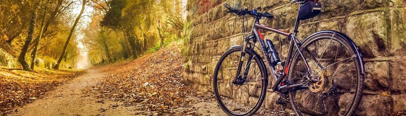 Brand article image for: Specialized